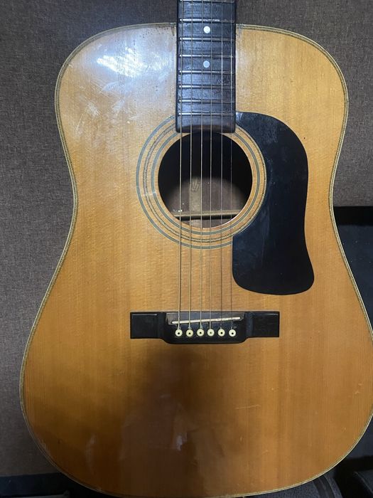Акустична вінтажна гітара Washburn D13N і лади з нержавіючоі сталі