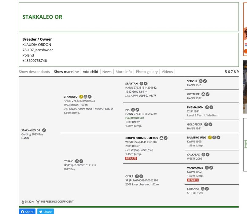 Walach hannowerski po Stakkato