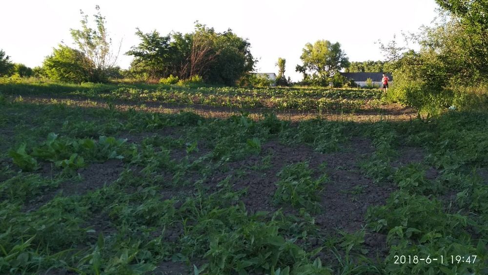 Продам будинок,дачу.