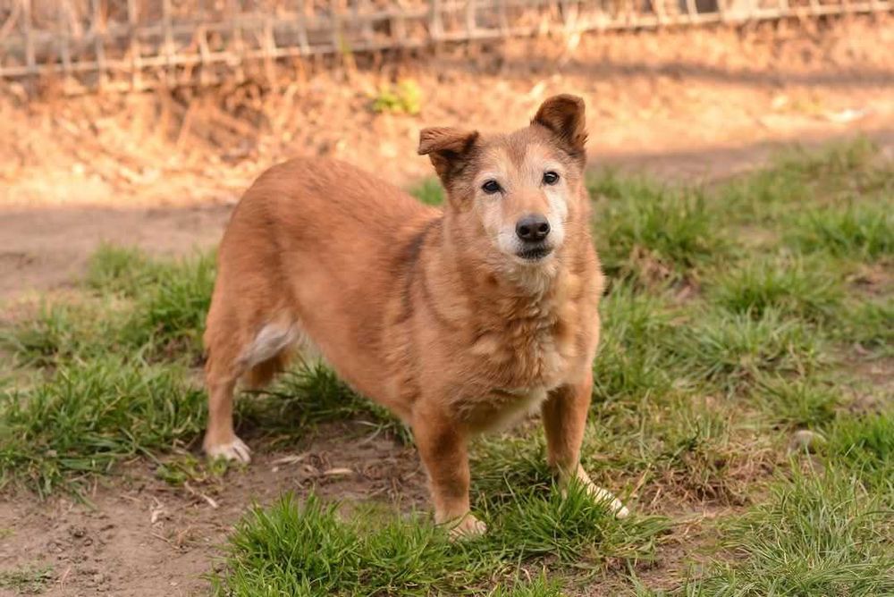 Sprinterka - szuka swojego miejsca na świecie