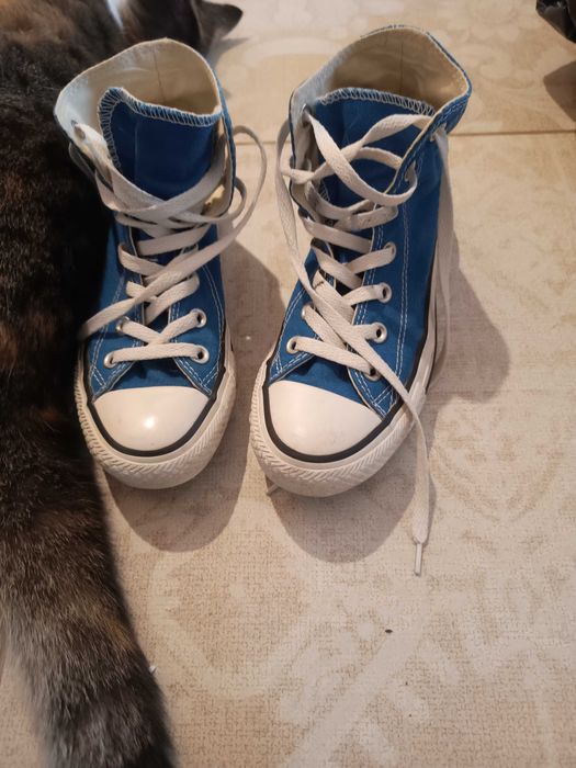 Oryginalne Converse, nr 37