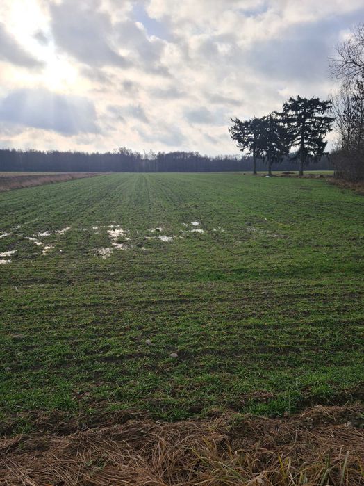 działka rolno-budowlana