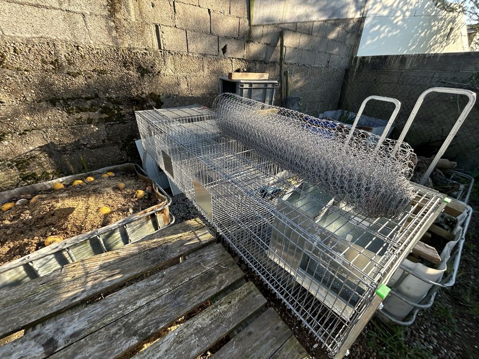 Coelheira Copele 4 divisões