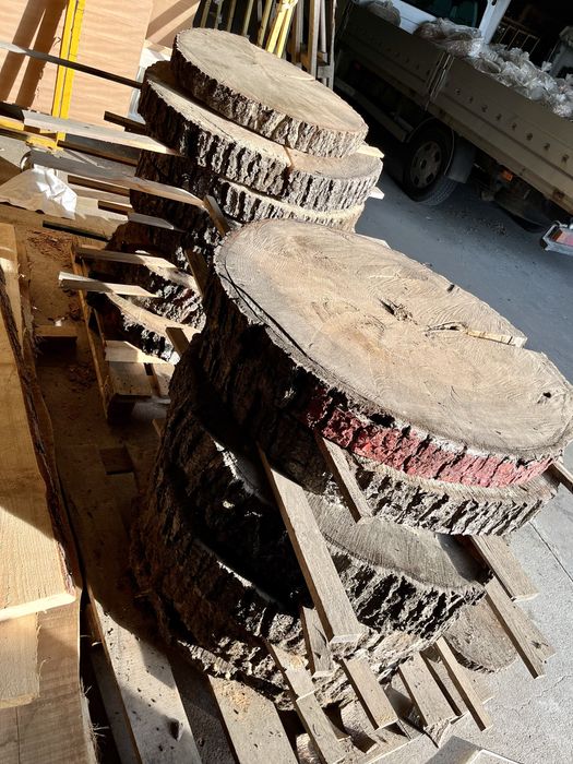 Plastry dębowe - wysuszone