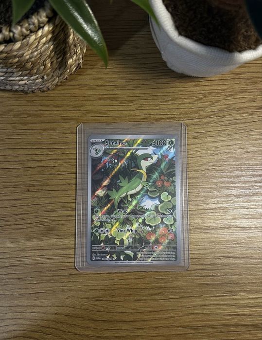 Pokemon TCG / Покемон картки english / japanese