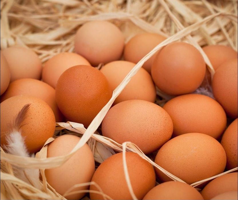 Ovos de Quinta Reais - Galinhas Felizes e Gema Laranja (Dúzia)