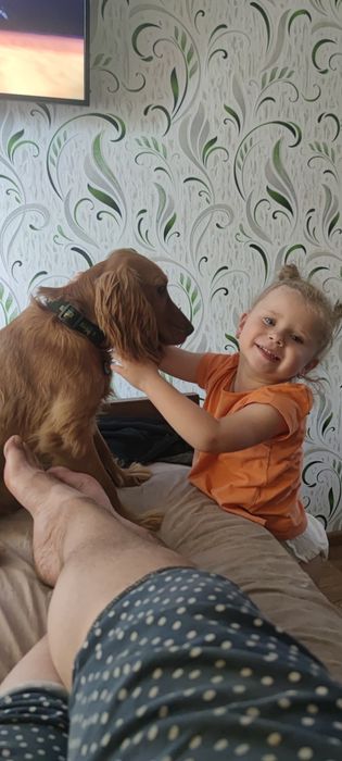 Продам собаку в хороші руки