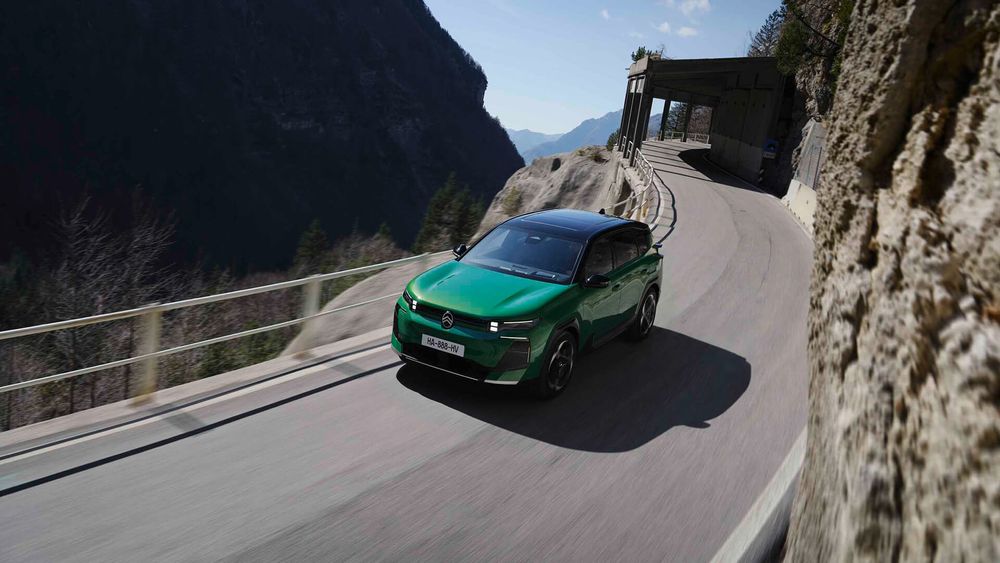 Zdjęcie w galerii numer 2