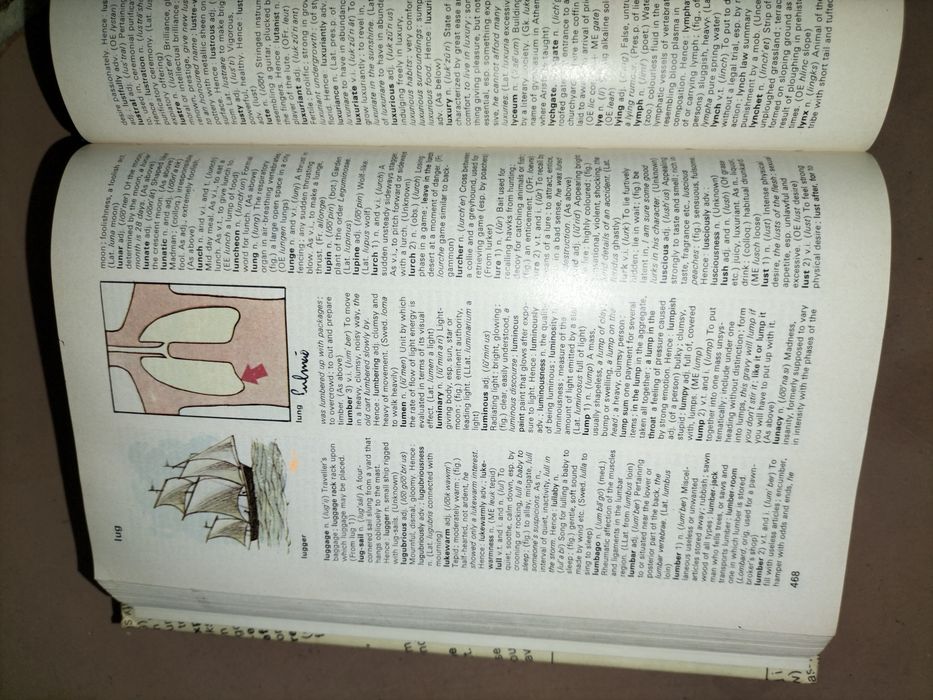 Purnells Family Dictionary in colour
