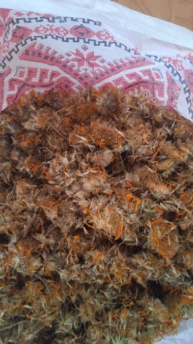 Арніка гірська, квіти