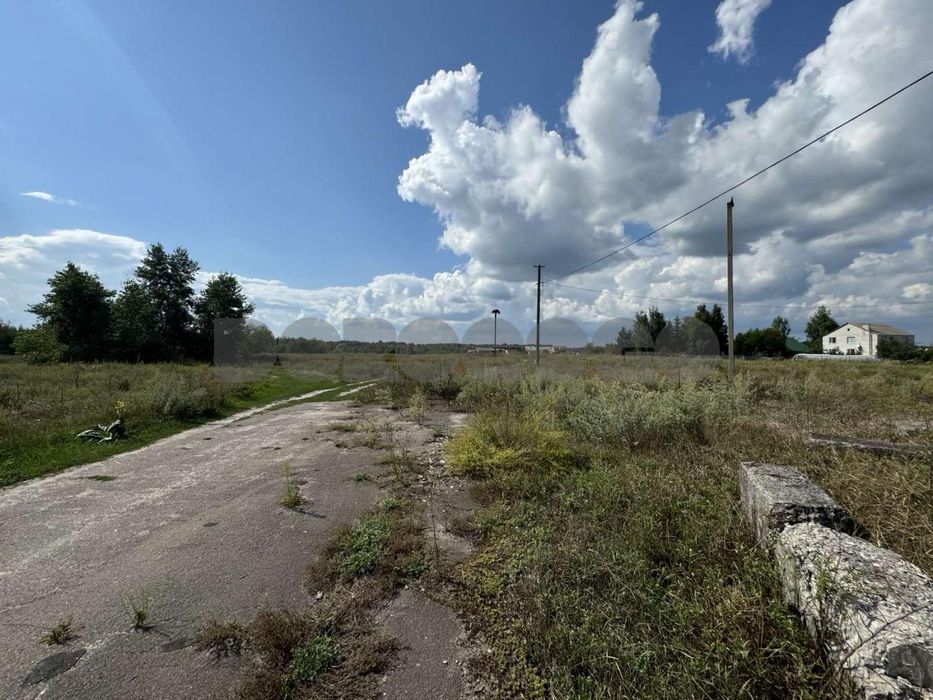 Продаж ділянки ОСГ 1,68 га селище Загальці Бучанського району