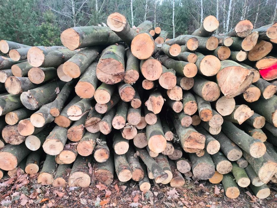 Drewno kominkowe i opałowe