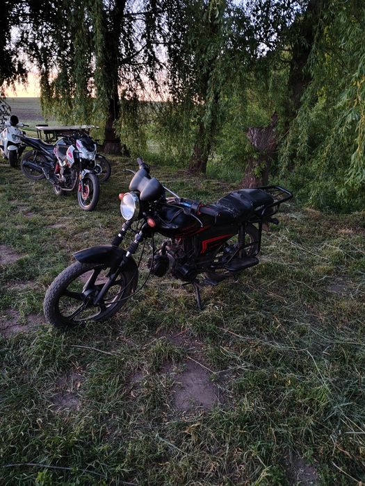 Альфа хорнет 125