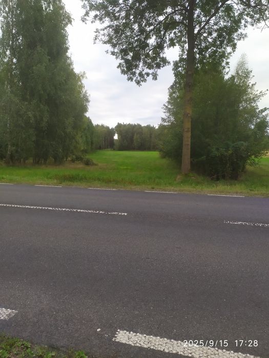 Sprzedam grunt 2,2825 ha przy drodze krajowej  nr.60