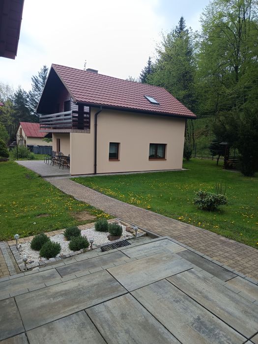 Domek do wynajęcia