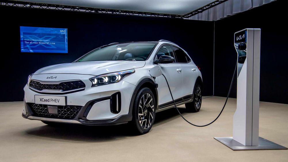 Zdjęcie w galerii numer 8