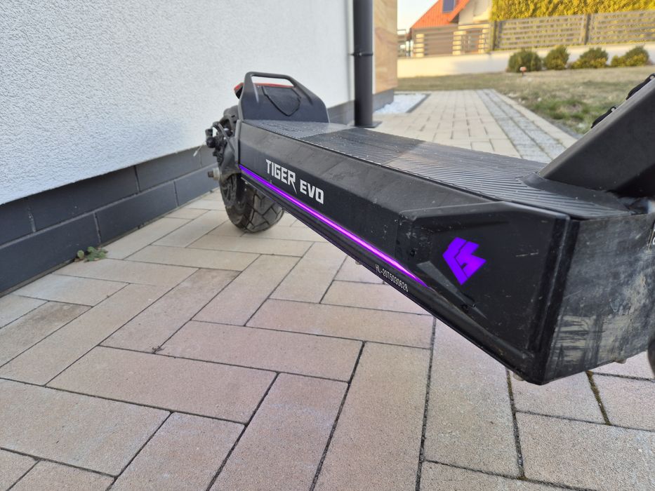 Hiley Tiger  evo