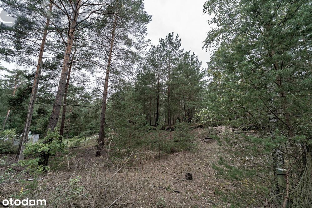 Działka budowlana na Wydmach  2221 m2 - bez prowizji