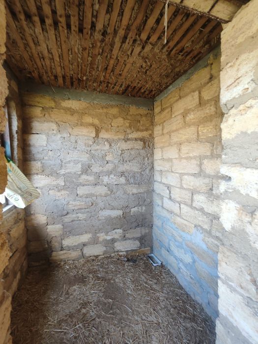 Будинок за адресою Люстдорфська дор. (площа 40 м²) - Atlanta.ua - фото 5