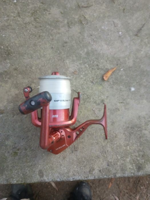 Carrinhos de pesca em bom estar