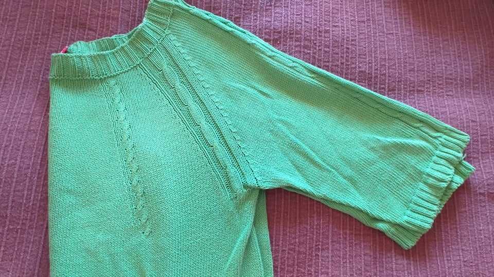 Camisola Lion of Porches