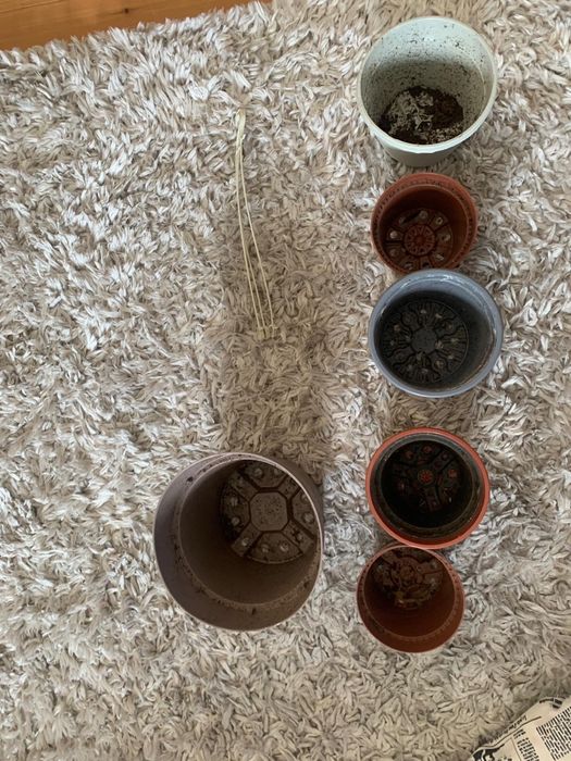 Conjunto para Plantas | Vasos + Tutor + Medidor de Humidade H2O Terra