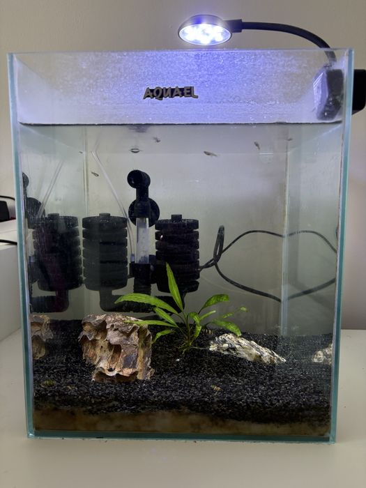 Akwariul 20L  Aquael