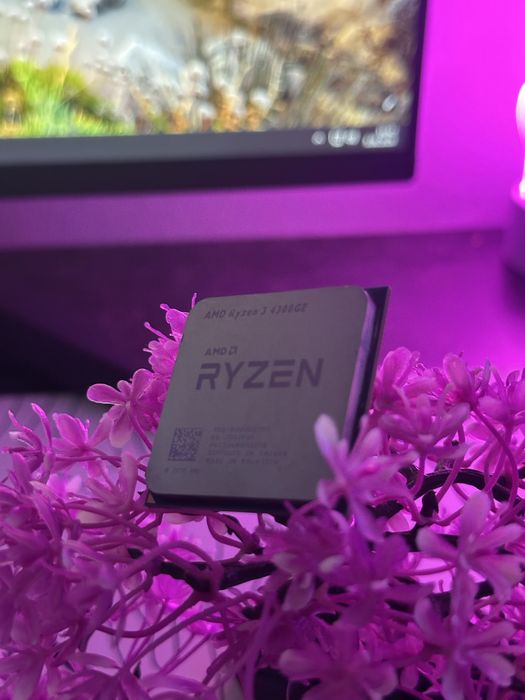 Ryzen 4 4300GE procesor