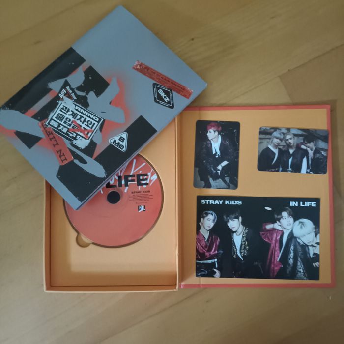 Album Stray Kids In Life
