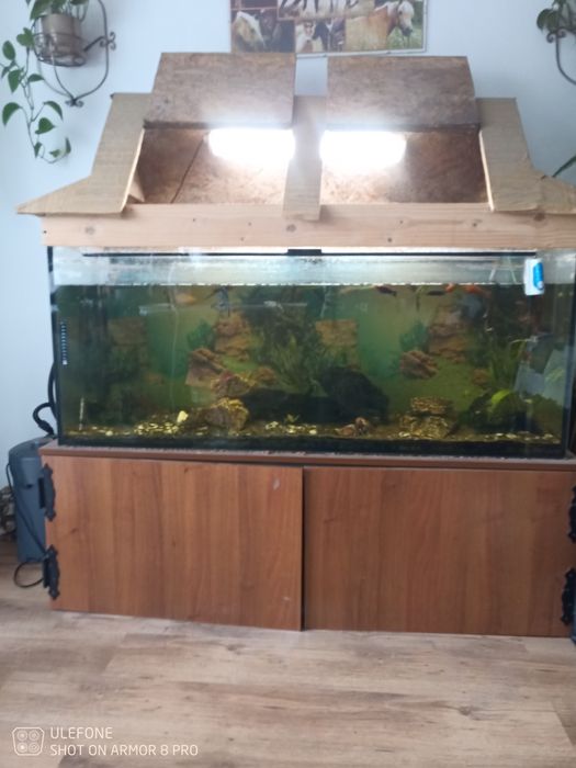 Sprzedam akwarium 500l