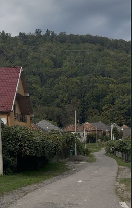 Продаж будинку в Кольчині