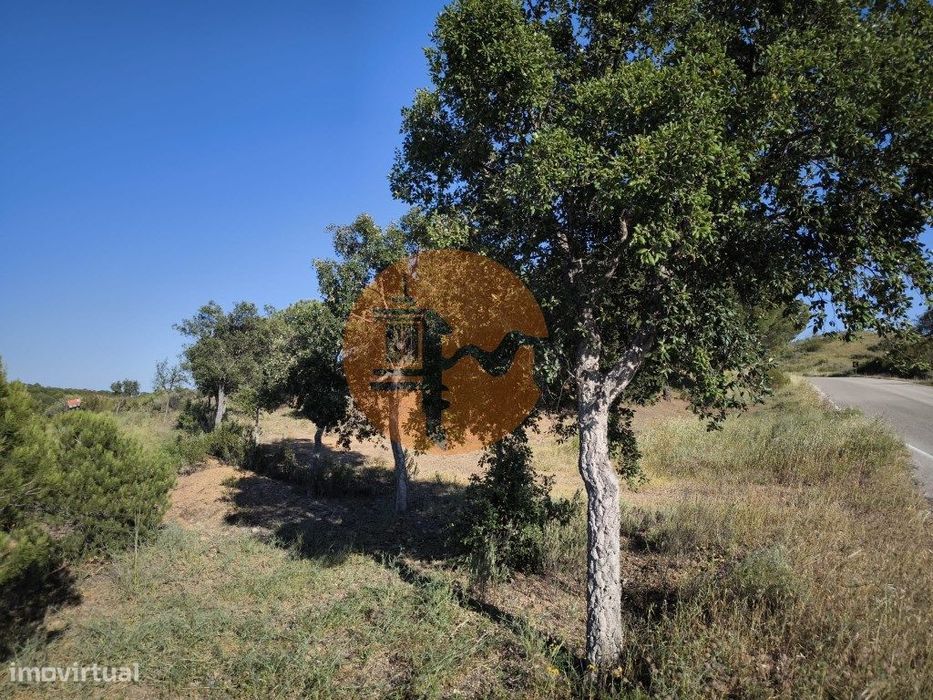Terreno Com 62.180 M2 - Possibilidade De Turismo Rural - Construção...