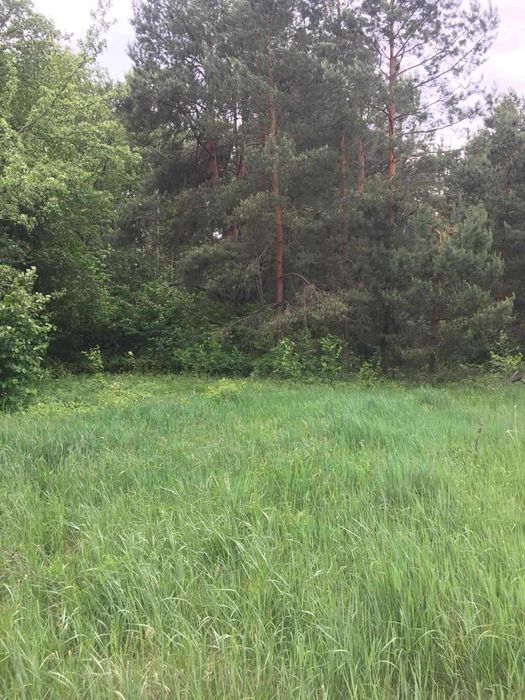 Продам ділянку. село Хмільна .вул.Кучерова