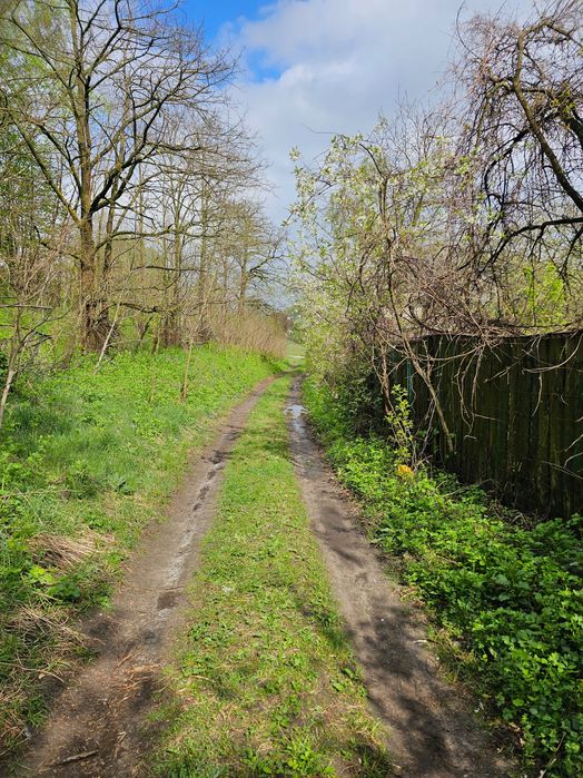 Дом, дача, садівництво, земля