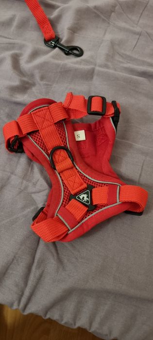 szelki S dla yorka małego psa czerwone z liną nowe