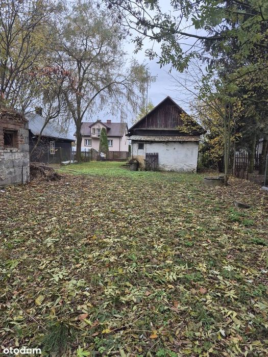 Działka siedliskowa 2,4663 HA z polem i lasem - Widok 4