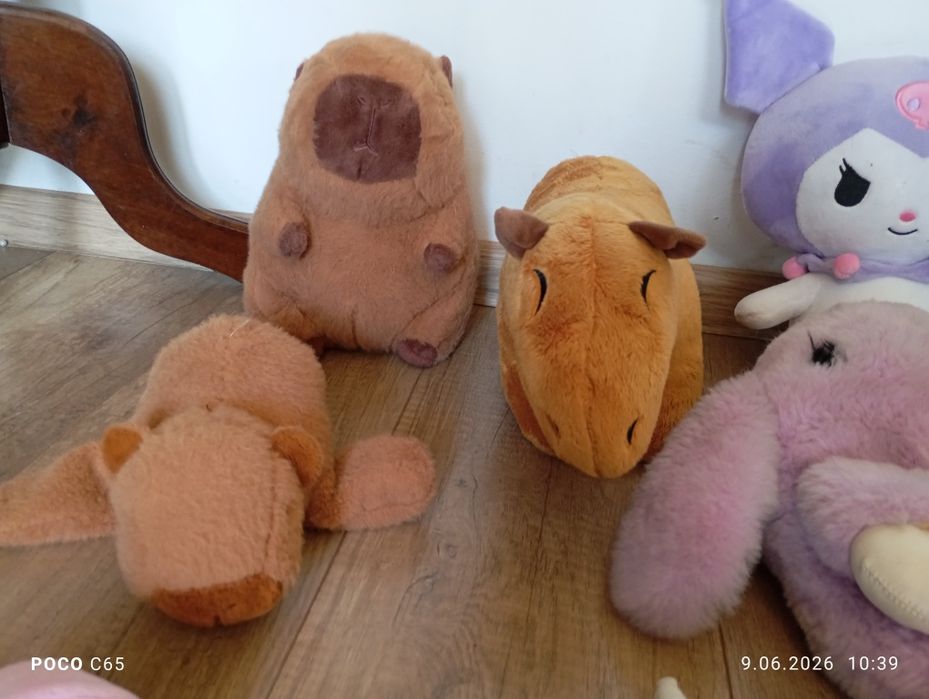 Zestaw maskotek pluszaków Stich, kapibara nr 2