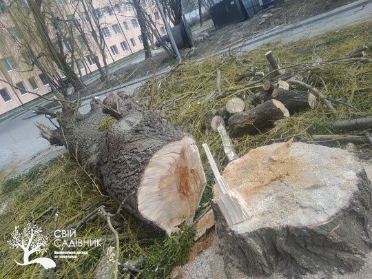 Порізка дров  покос трави