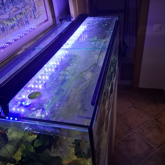 (VALOR FiXO) Aquario de 300 Lts, móvel, e luminaria de led incluído.