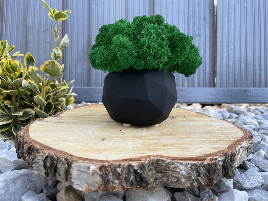 Doniczka betonowa z chrobotkiem