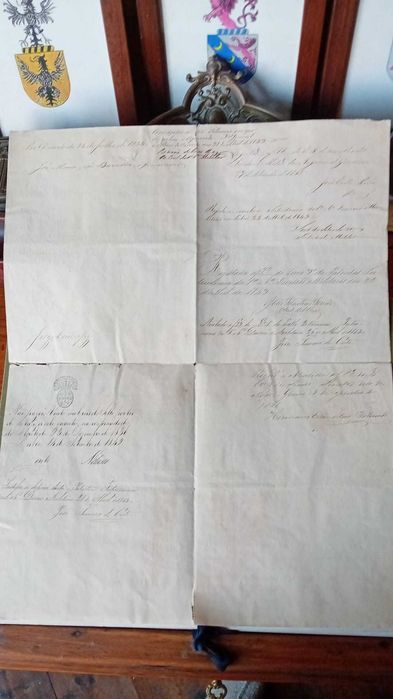 Cata patente com a assinatura da D. Maria, 1845
