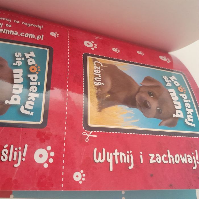 Nowa książka z serii Zaopiekuj się mną Holly Webb Czaruś