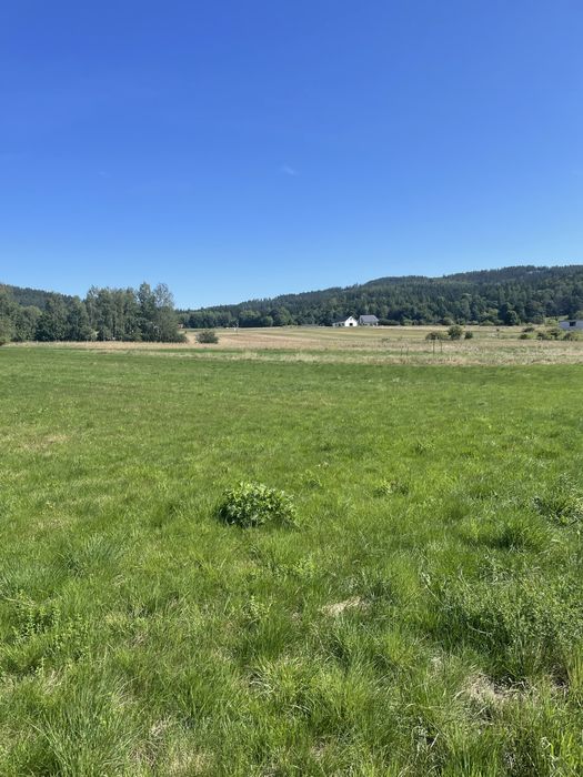 Działka budowlana w Sędzisławiu