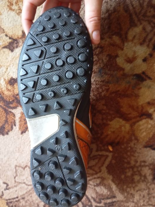 Сороконіжки Lion