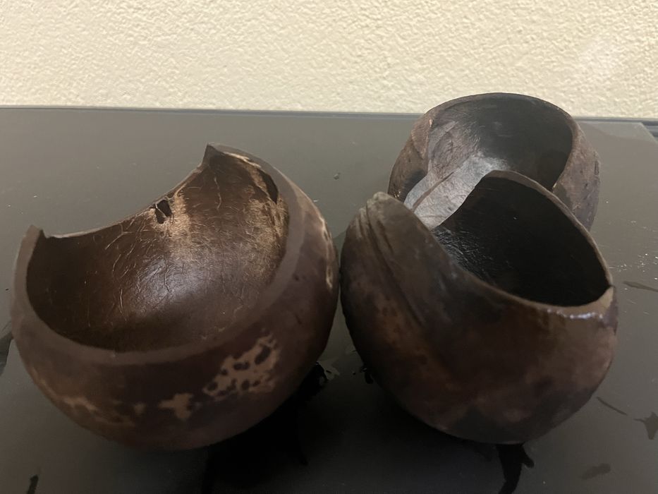 Kokos grota do akwarium