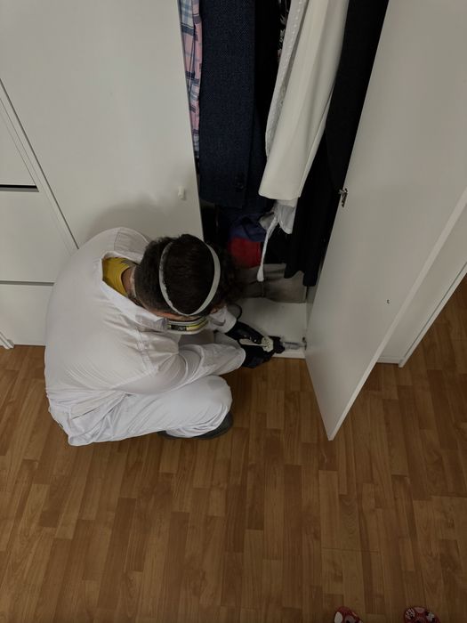 Desinfestacao PERCEVEJO BARATAS RATOS TERMITAS PULGAS