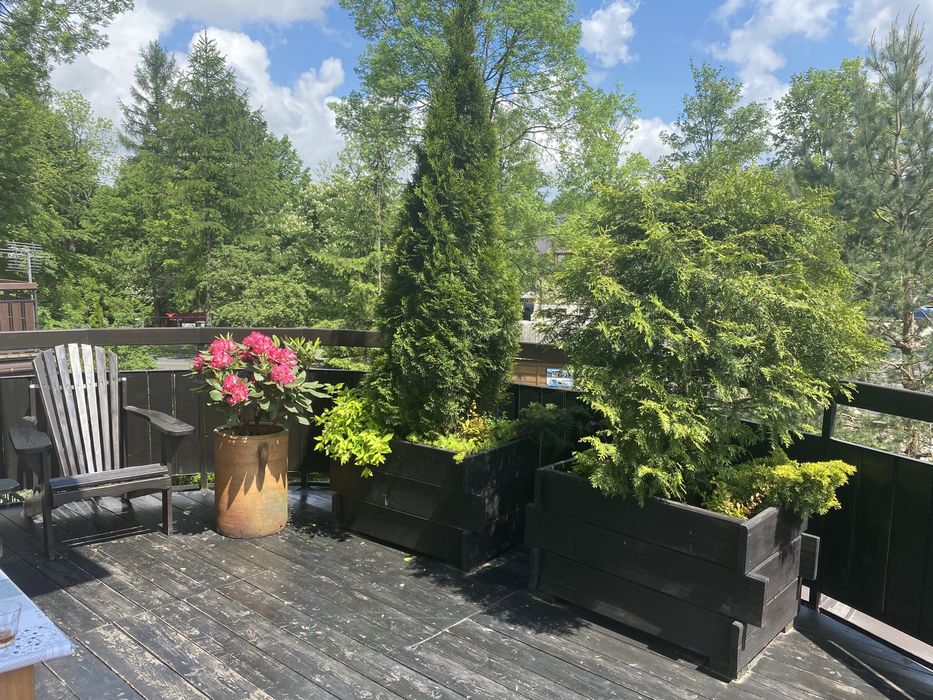 Apartament Rodzinny Centrum Zakopane
