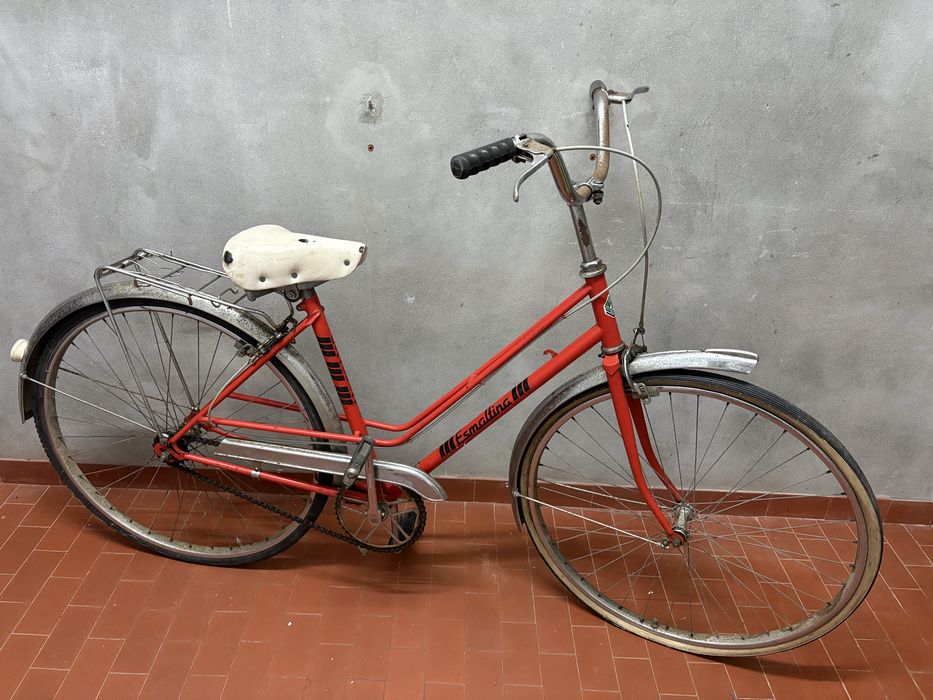 Bicilceta Pasteleira mulher