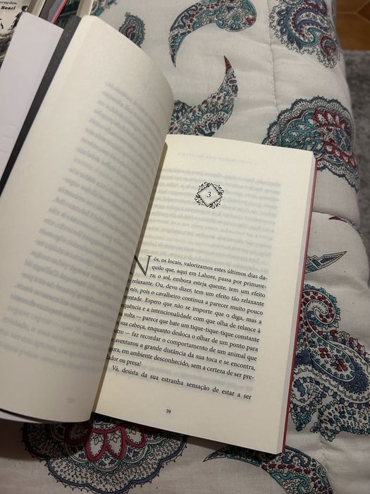 Livro • O Fundamentalista Relutante