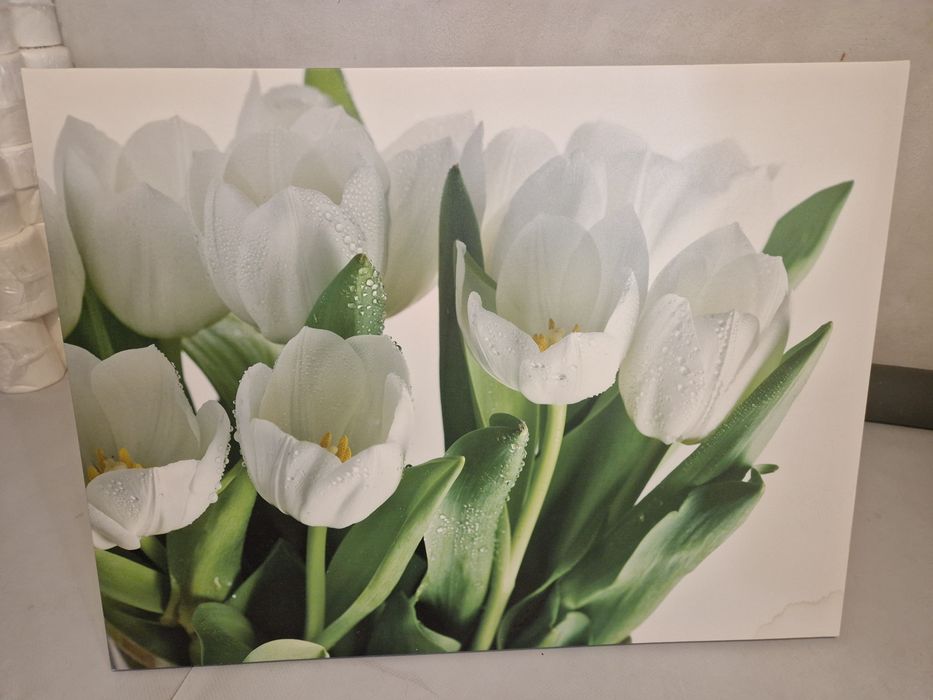 Uszkodzony Obraz tulipany na płótnie 114x86